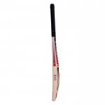 BAS Vampire King Hitter English Willow Cricket Bat (SH)