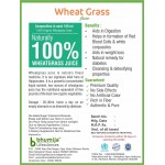 Bhumija Lifesciences Plain Wheat Grass Juice (Sugar Free) 1 Ltr. (Pack of Three)