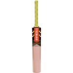 Gray Nicolls Powerbow5 Smasher PP 0 Junior Kashmir Willow Cricket Bat