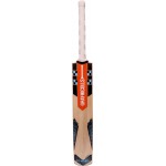Gray Nicolls Supernova Forcestrike PP Kashmir Willow Cricket Bat
