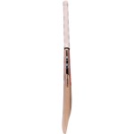 Gray Nicolls Supernova Forcestrike PP Kashmir Willow Cricket Bat