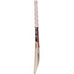 Gray Nicolls Supernova Powerplay Ton Kashmir Willow Cricket Bat