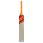 New Balance TC 360 Kashmir Willow Cricket Bat (SH)