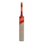 New Balance TC 460 Kashmir Willow Cricket Bat