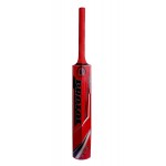 Protos Pro Painted Kashmir Willow Cricket Bat Full Size