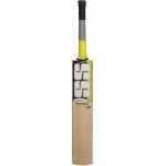 SS Premium English Willow Cricket Bat (SH)