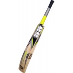 SS Premium English Willow Cricket Bat (SH)