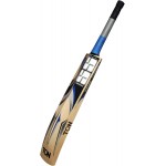 SS Sir Richards English Willow Cricket Bat (SH)