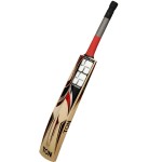 SS Ton47 English Willow Cricket Bat (SH)