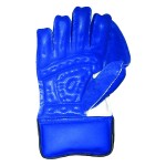 SS Catcher Wicket Keeping Gloves (Mens)