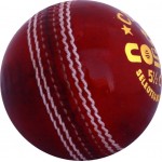 Cosco Club Cricket Leather Ball