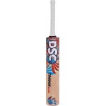 DSC Condor Blitzer Kashmir Willow Cricket Bat 