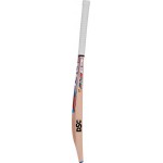 DSC Condor Blitzer Kashmir Willow Cricket Bat 