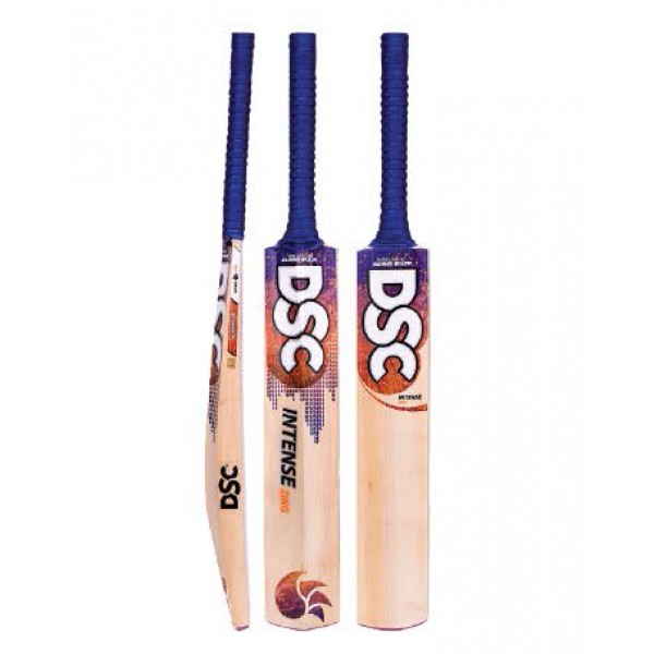 DSC Intense Zing Kashmir Willow Cricket Bat