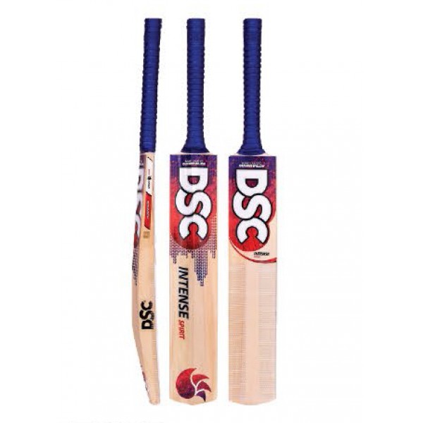 DSC Intense Spirit Kashmir Willow Cricket Bat