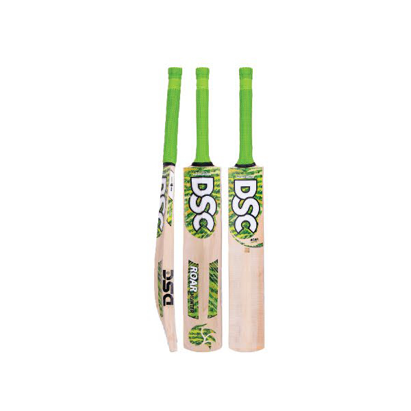 DSC Roar Range Hunter Kashmir Willow Cricket Bat