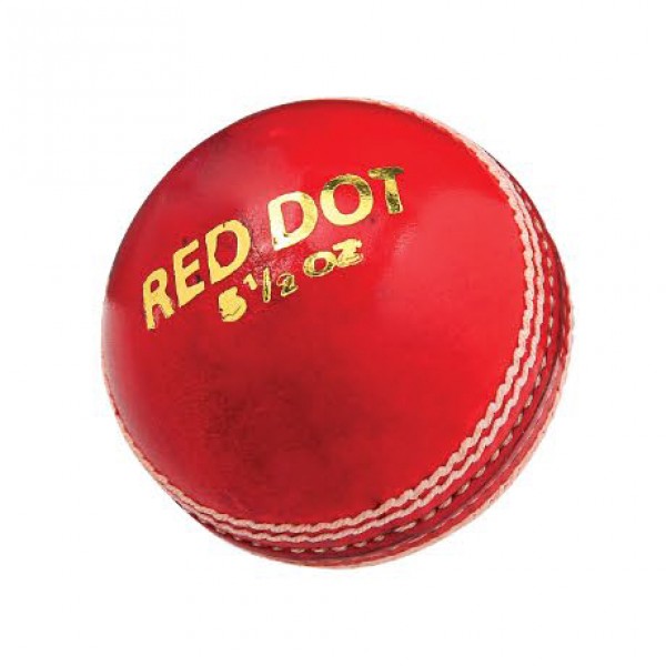 DSC Red Dot (4 Pcs) Cricket Leather Ball (1 Pcs Blister)