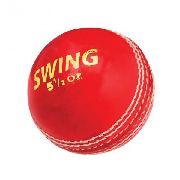 DSC Swing (4 Pcs) Cricket Leather Ball (1 Pcs Blister)
