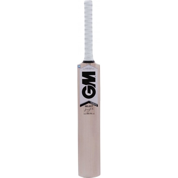 GM Icon Select Kashmir Willow Cricket Bat