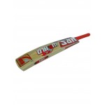 HRS World Cup Kashmir Willow Cricket Bat (Size SH)