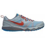Nike Dual Fusion Trail Running Shoes (Gray)