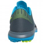 Nike FS Lite Run 2 Running Shoes (Gray)