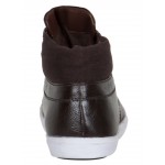 Provogue PV7095 Men Formal Shoes (Brown)