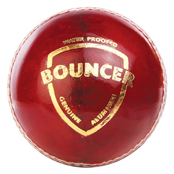 SG Bouncer Cricket Leather Ball