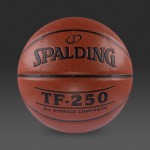Spalding TF 250 Basketball