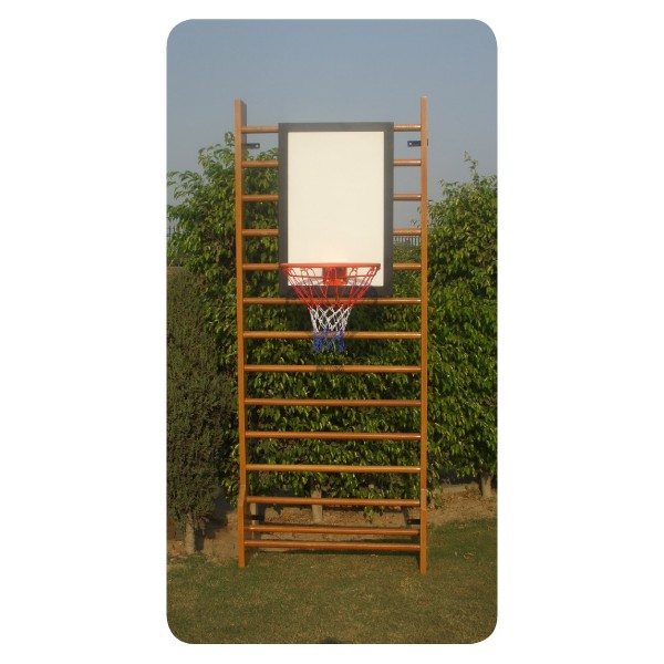STAG Basketball Hanging Board