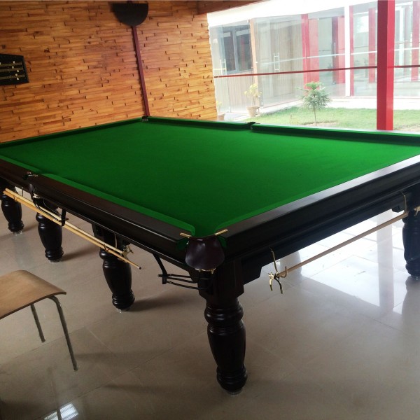 Tanishq Premier Snooker Table
