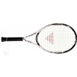 Tecnifibre X-One Carat 2012 Grip 3 Tennis Racket