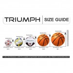 Triumph hb-301 synthetic hand stitch handball