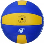 Triumph vb-201 dezire moulded volleyball