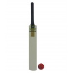 Wasan Bat and Ball Size 4 Cricket Kit