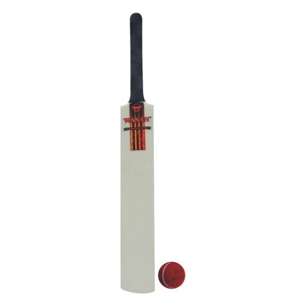Wasan Bat and Ball Size 4 Cricket Kit