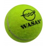 Wasan Cricket Tennis Ball