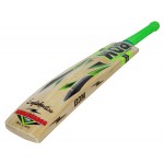 BDM Ambassador English Willow Cricket Bat (SH)