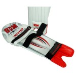BDM Master Blaster Traditional Batting leg Guards (mens)