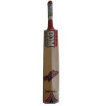 BDM Master Blaster English Willow Cricket Bat