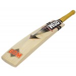 BDM Old Gold Clean Blade English Willow Cricket Bat (SH)