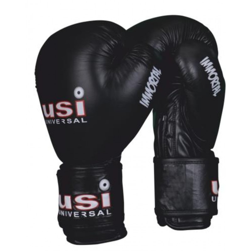 Buy USI 609WU Sanda Wushu Gloves (Black, Sanshou) Online at Best
