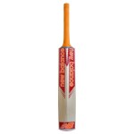 New Balance TC 360 Kashmir Willow Cricket Bat (SH)