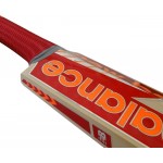 New Balance TC 460 Kashmir Willow Cricket Bat