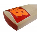 New Balance TC 460 Kashmir Willow Cricket Bat