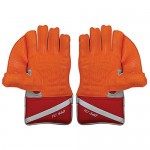 New Balance TC 560 Wicket Keeping Gloves