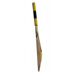 Protos Hurricane English Willow Cricket Bat (SH)