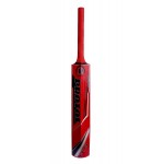 Protos Pro Painted Kashmir Willow Cricket Bat Full Size
