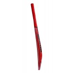 Protos Pro Painted Kashmir Willow Cricket Bat Full Size