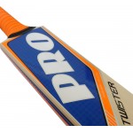 Protos Twister Kashmir Willow Cricket Bat (SH)